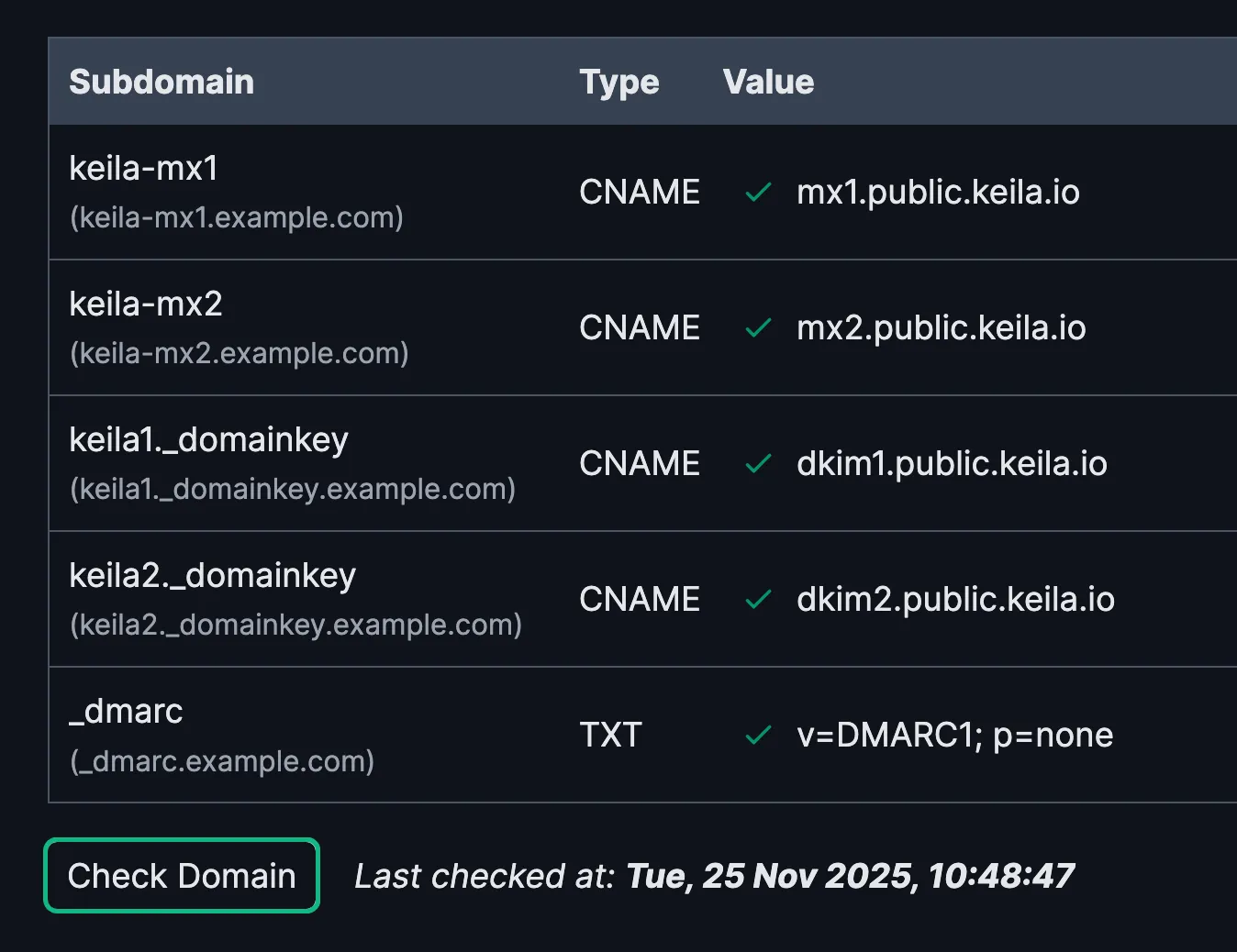 Screenshot of the DNS settings in Keila