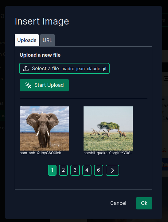 Screenshot showing the image upload feature in Keila