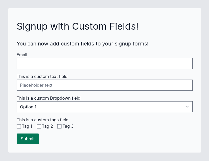 Screenshot showing a newsletter signup field created with Keila featuring a custom text field, a custom dropdown field, and a custom tags field.